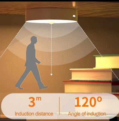 LED Intelligent Human Induction Night Lamp